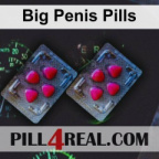 Big Penis Pills 408