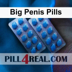 Big Penis Pills 425