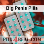 Big Penis Pills 428