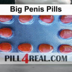 Big Penis Pills 466