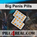 Big Penis Pills 504