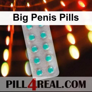 Big Penis Pills 507