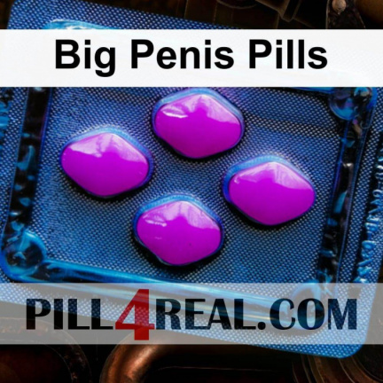 Big Penis Pills 510