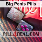 Big Penis Pills 549