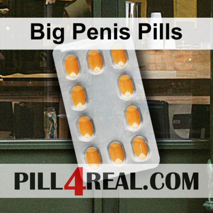 Big Penis Pills 572