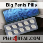 Big Penis Pills 629