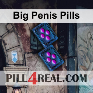 Big Penis Pills 656