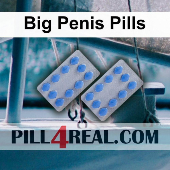 Big Penis Pills 685