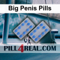 Big Penis Pills 685