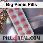 Big Penis Pills 693