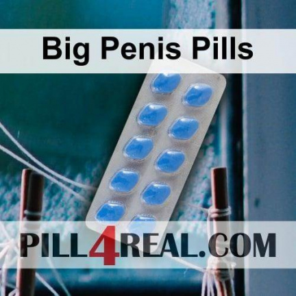 Big Penis Pills 731