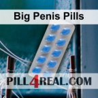 Big Penis Pills 731
