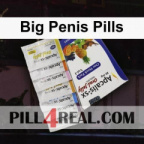 Big Penis Pills 774