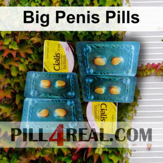Big Penis Pills 784