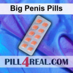 Big Penis Pills 796