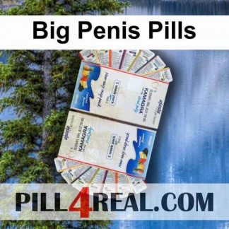 Big Penis Pills 822