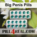 Big Penis Pills 840