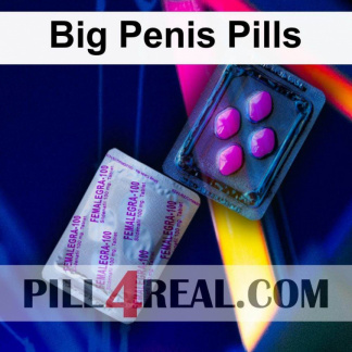 Big Penis Pills 884