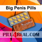 Big Penis Pills 916