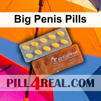 Big Penis Pills 916