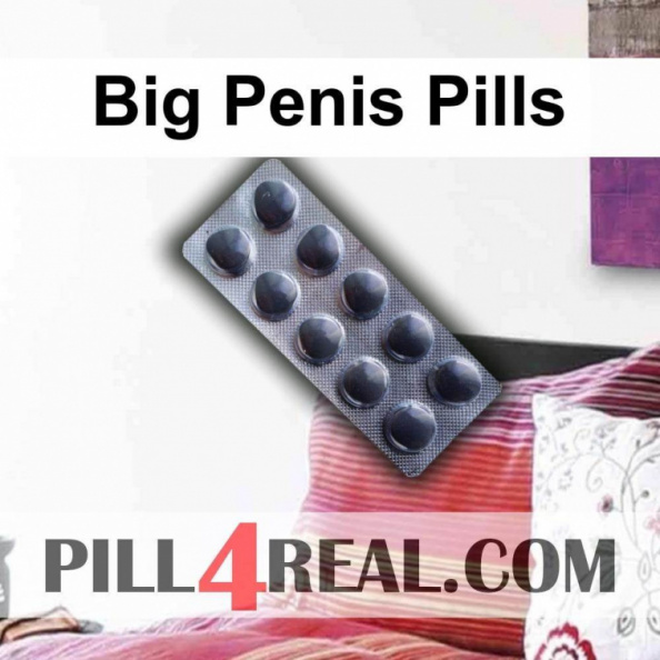 Big Penis Pills 973