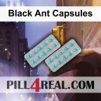 Black Ant Capsules 075