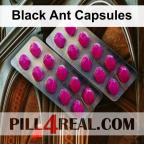 Black Ant Capsules 112