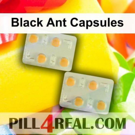 Black Ant Capsules 116