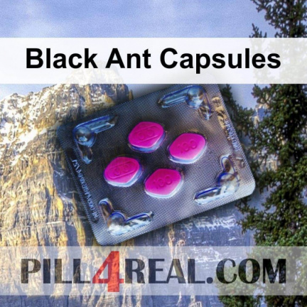 Black Ant Capsules 207