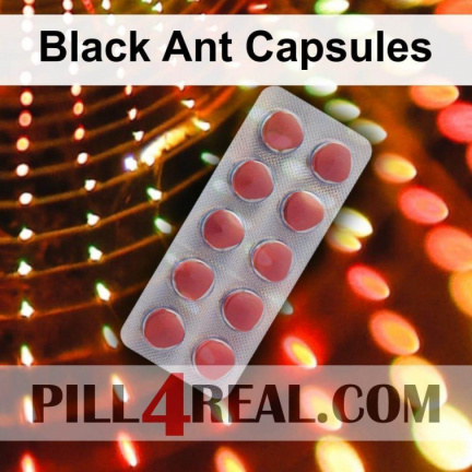 Black Ant Capsules 212