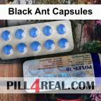Black Ant Capsules 216
