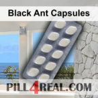 Black Ant Capsules 228