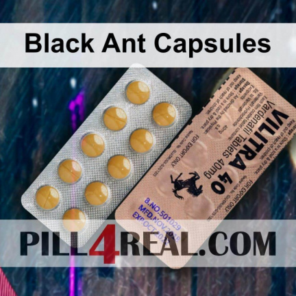 Black Ant Capsules 252