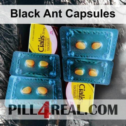 Black Ant Capsules 253