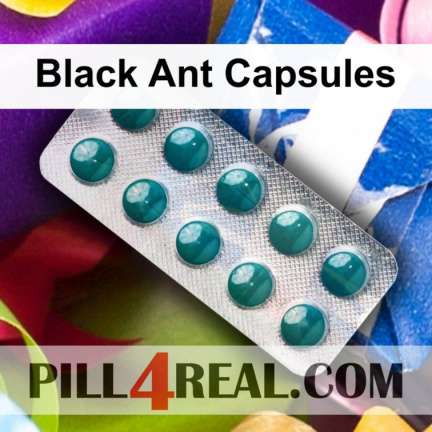 Black Ant Capsules 313