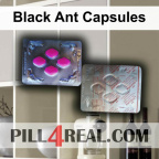 Black Ant Capsules 386