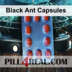 Black Ant Capsules 413