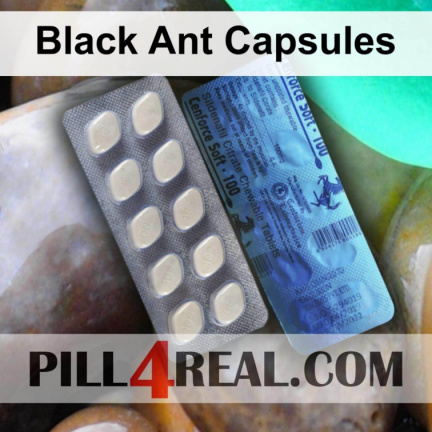 Black Ant Capsules 420