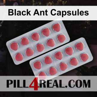 Black Ant Capsules 423