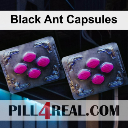 Black Ant Capsules 501