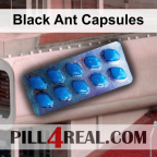 Black Ant Capsules 506