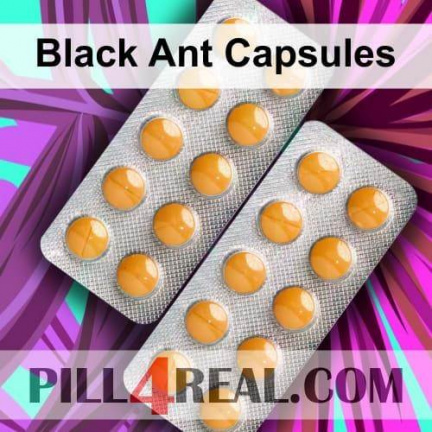 Black Ant Capsules 529