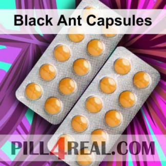 Black Ant Capsules 529