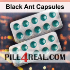 Black Ant Capsules 543