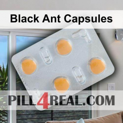 Black Ant Capsules 553