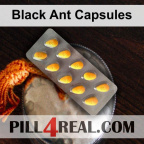 Black Ant Capsules 594