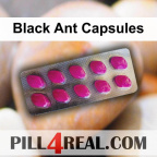 Black Ant Capsules 606