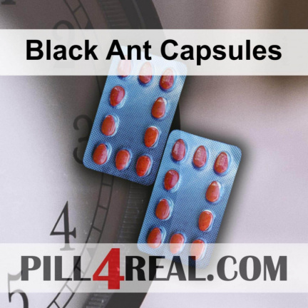 Black Ant Capsules 631