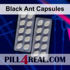 Black Ant Capsules 687