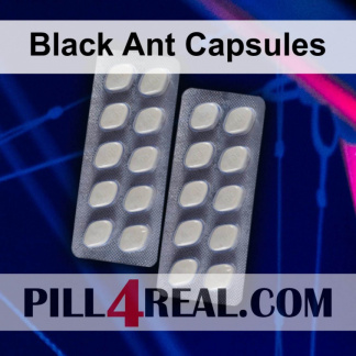 Black Ant Capsules 687